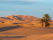 moroccan-desert