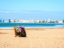 Essaouira beach