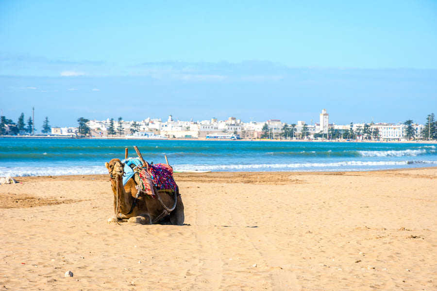 Essaouira beach