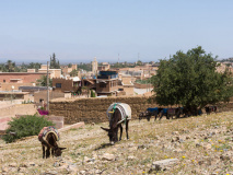 Taroudant