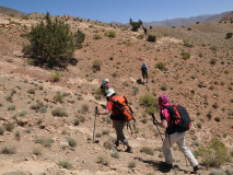 Trekking in the valley