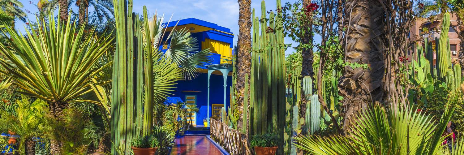 Majorelle Garden
