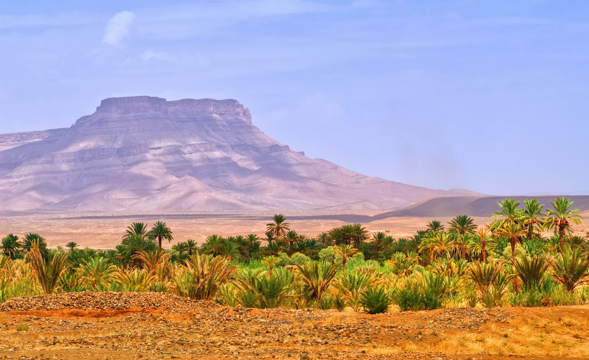 Travel In Tafilalet What To Do In Tafilalet Morocco Travel Guide