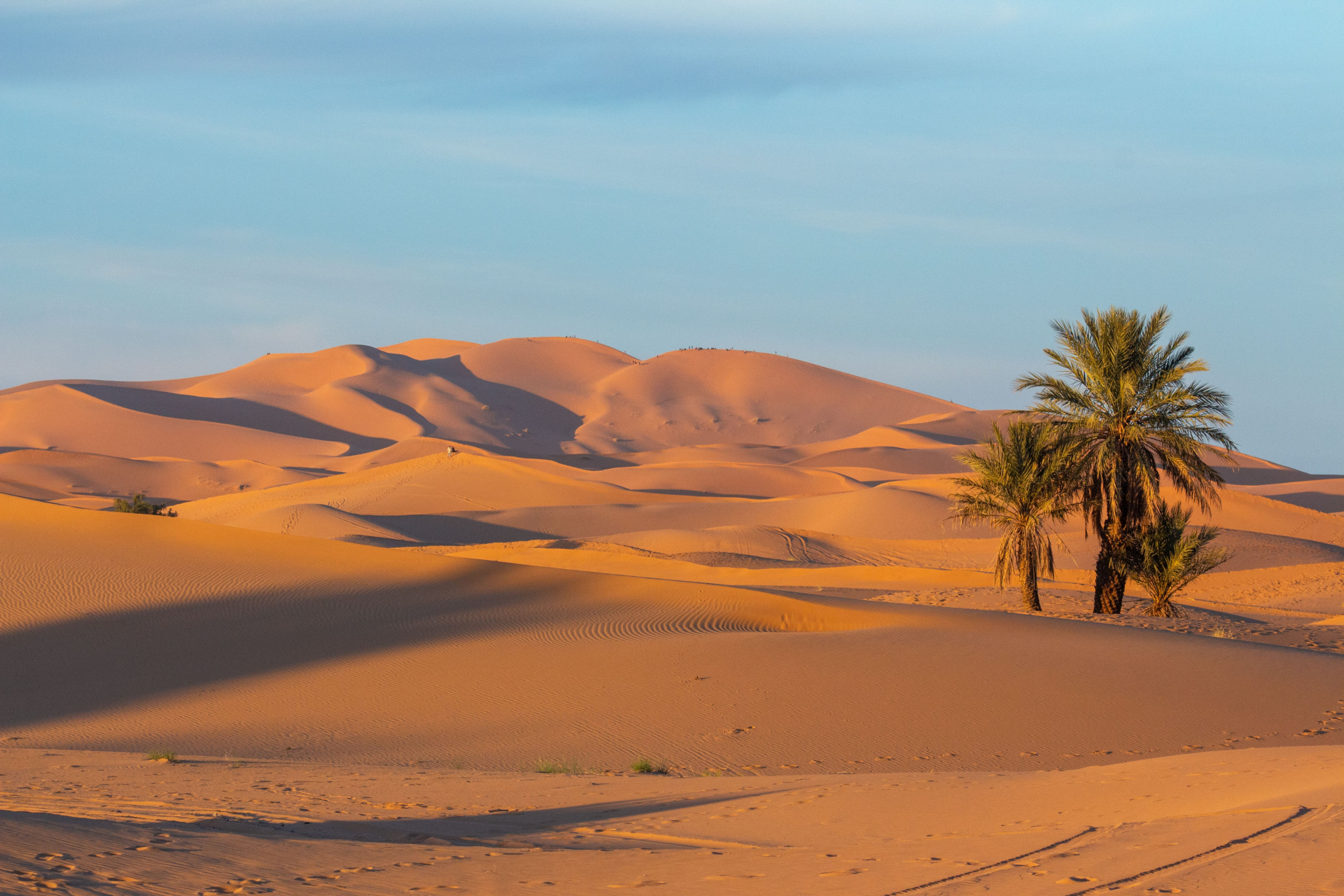 moroccan-desert