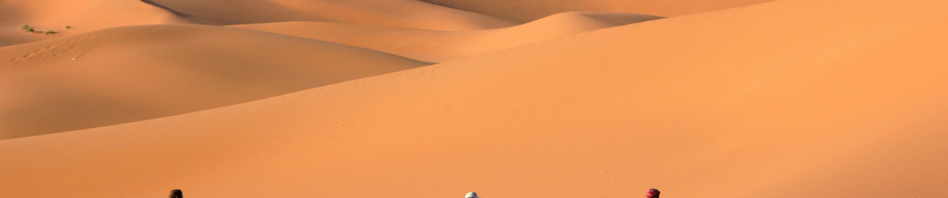 morocco-camel
