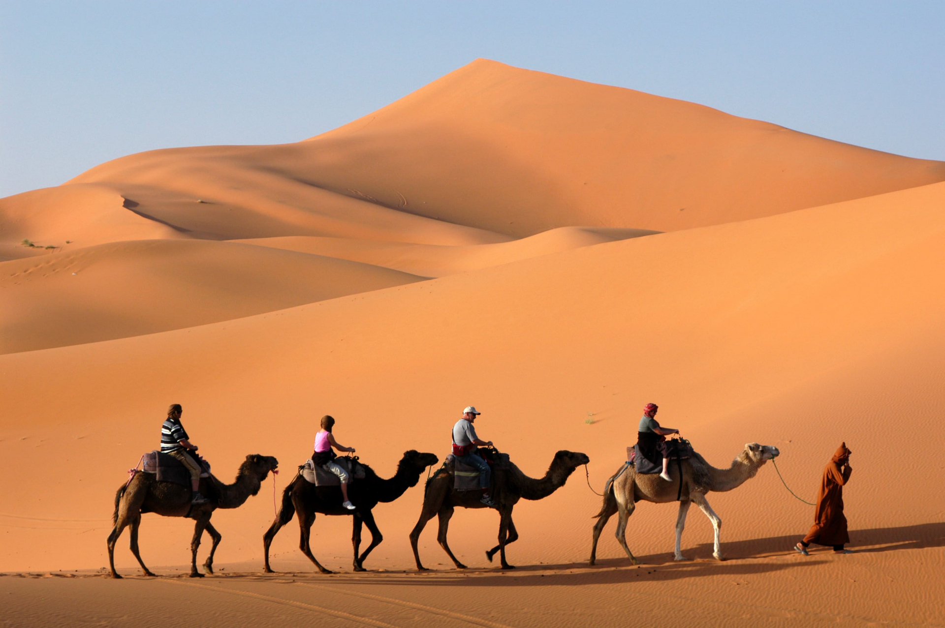 morocco-camel