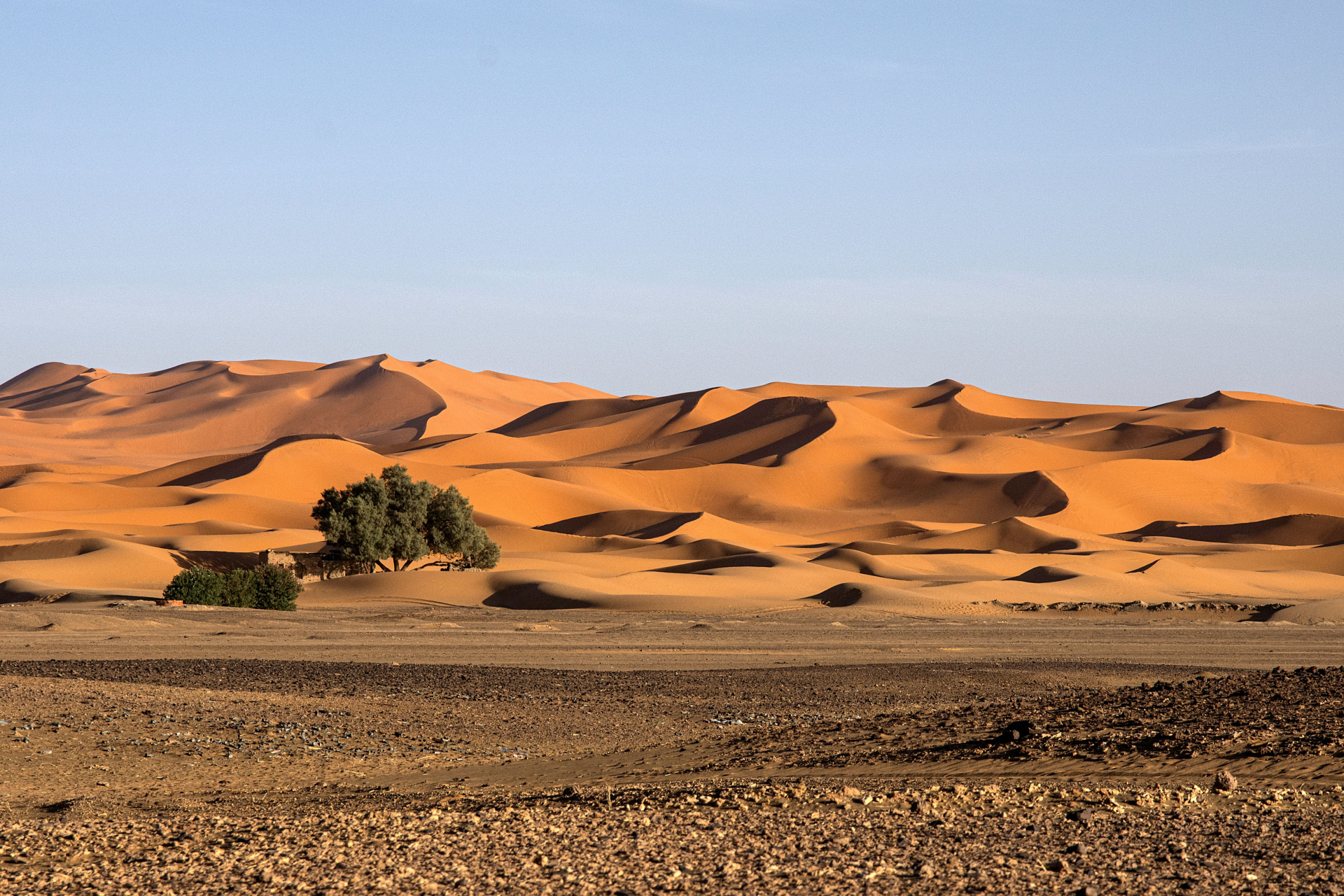 must-see-nature-morocco