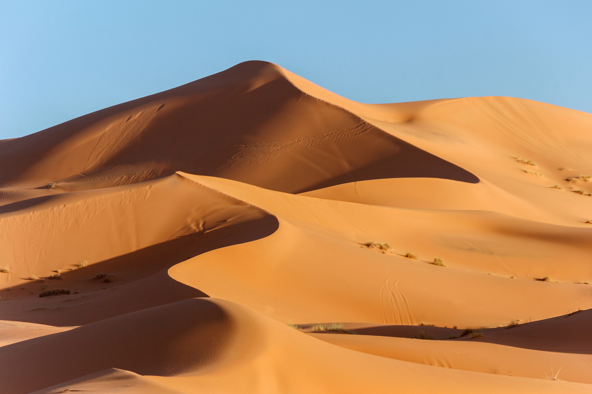 sahara-morocco