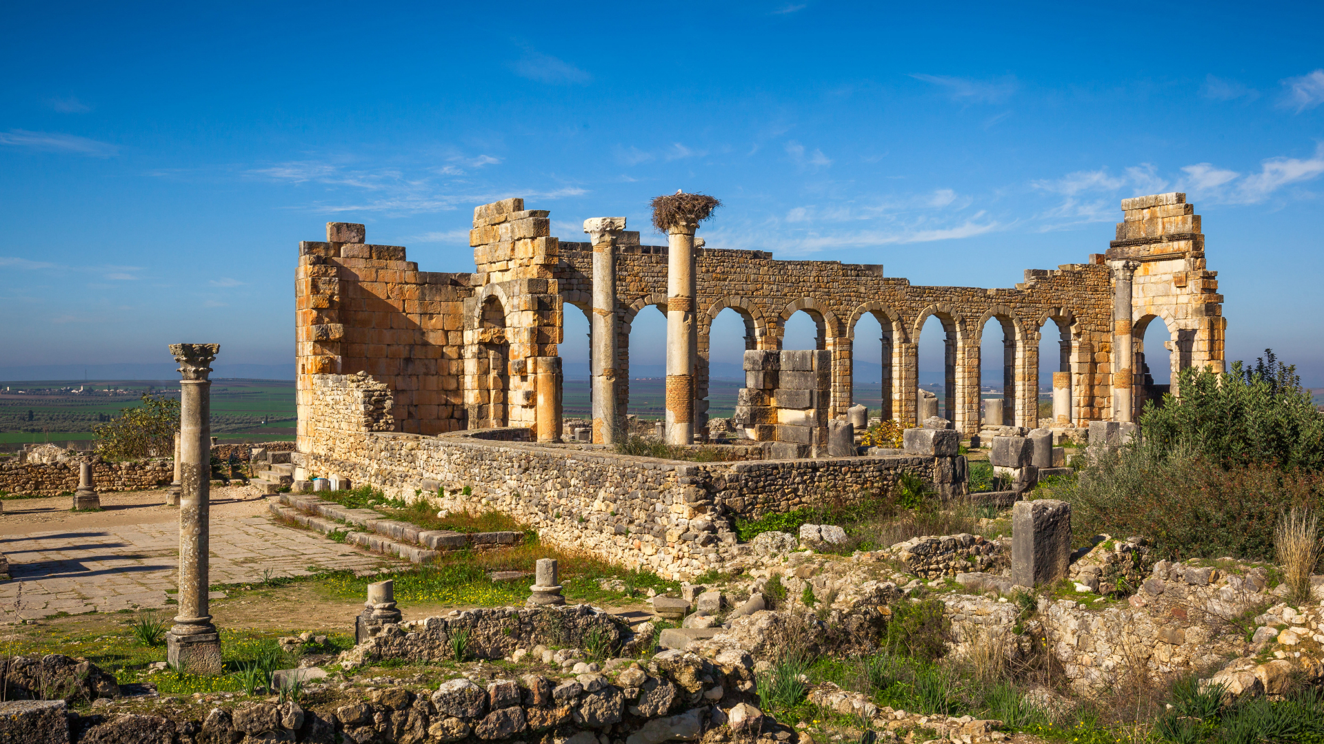 volubilis-morocco