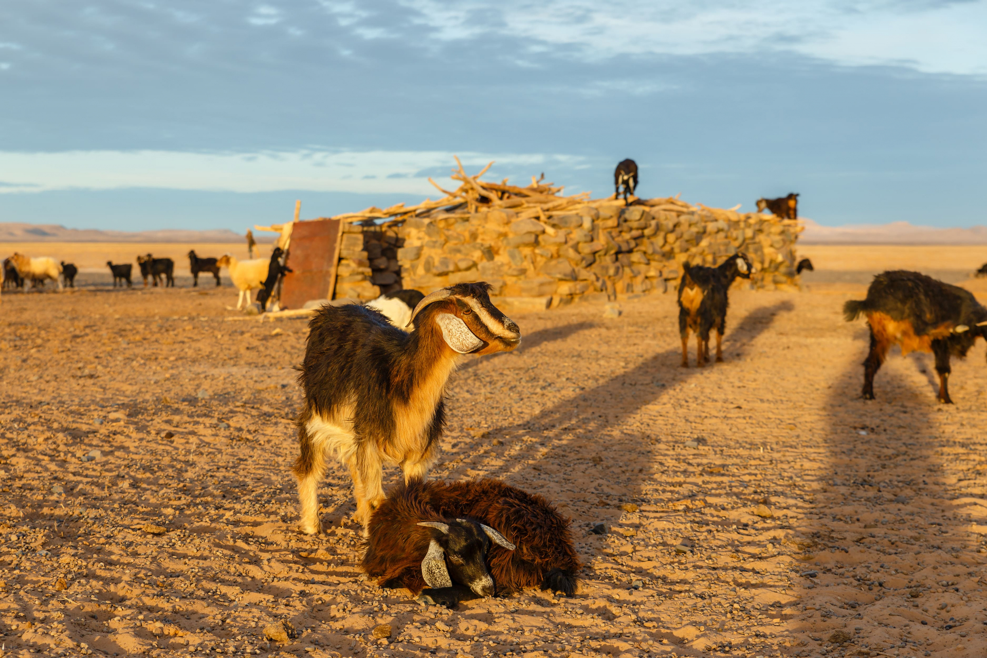 bynativ-community-morocco-like-a-local