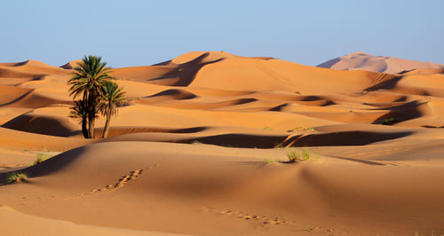 merzouga-morocco