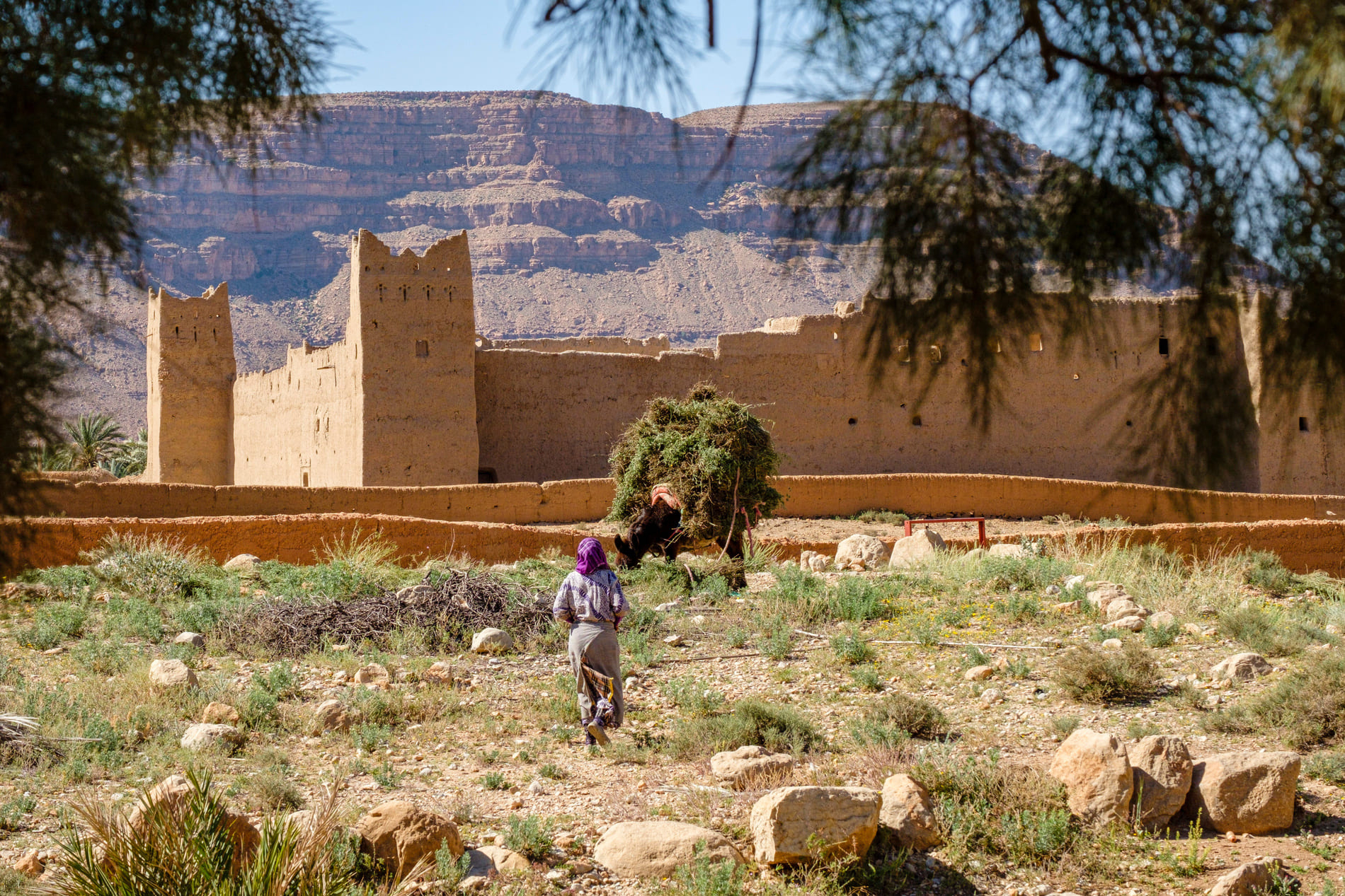 morocco-loop