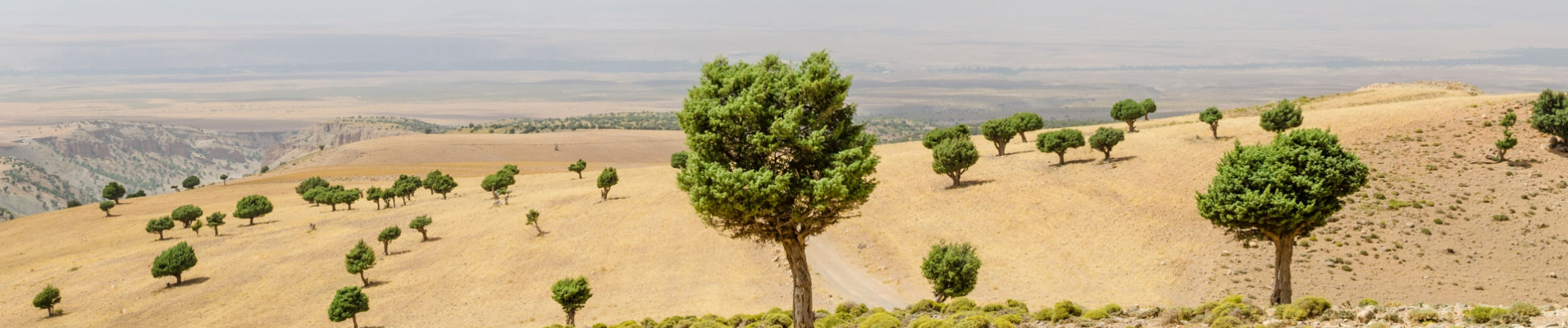 responsible-engagements-morocco