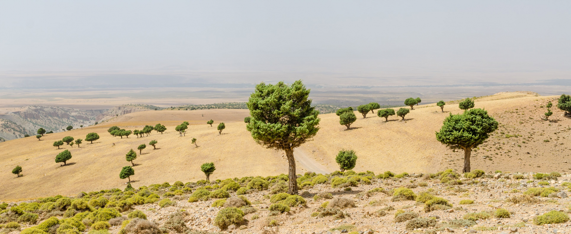 responsible-engagements-morocco