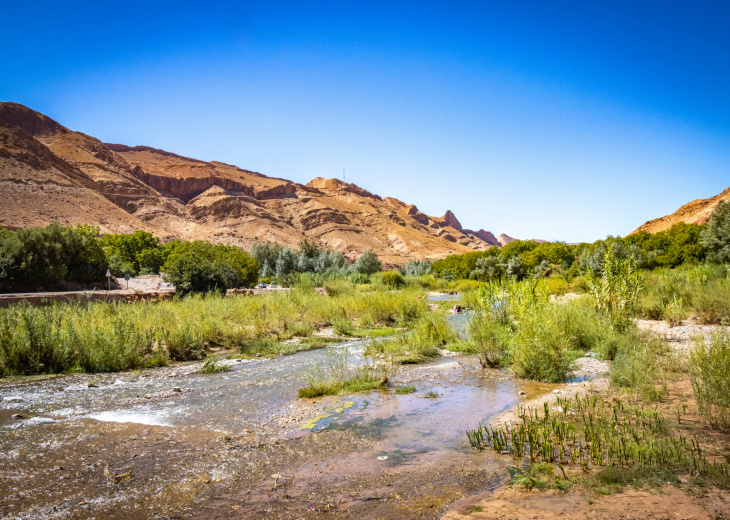 swimming-and-trekking