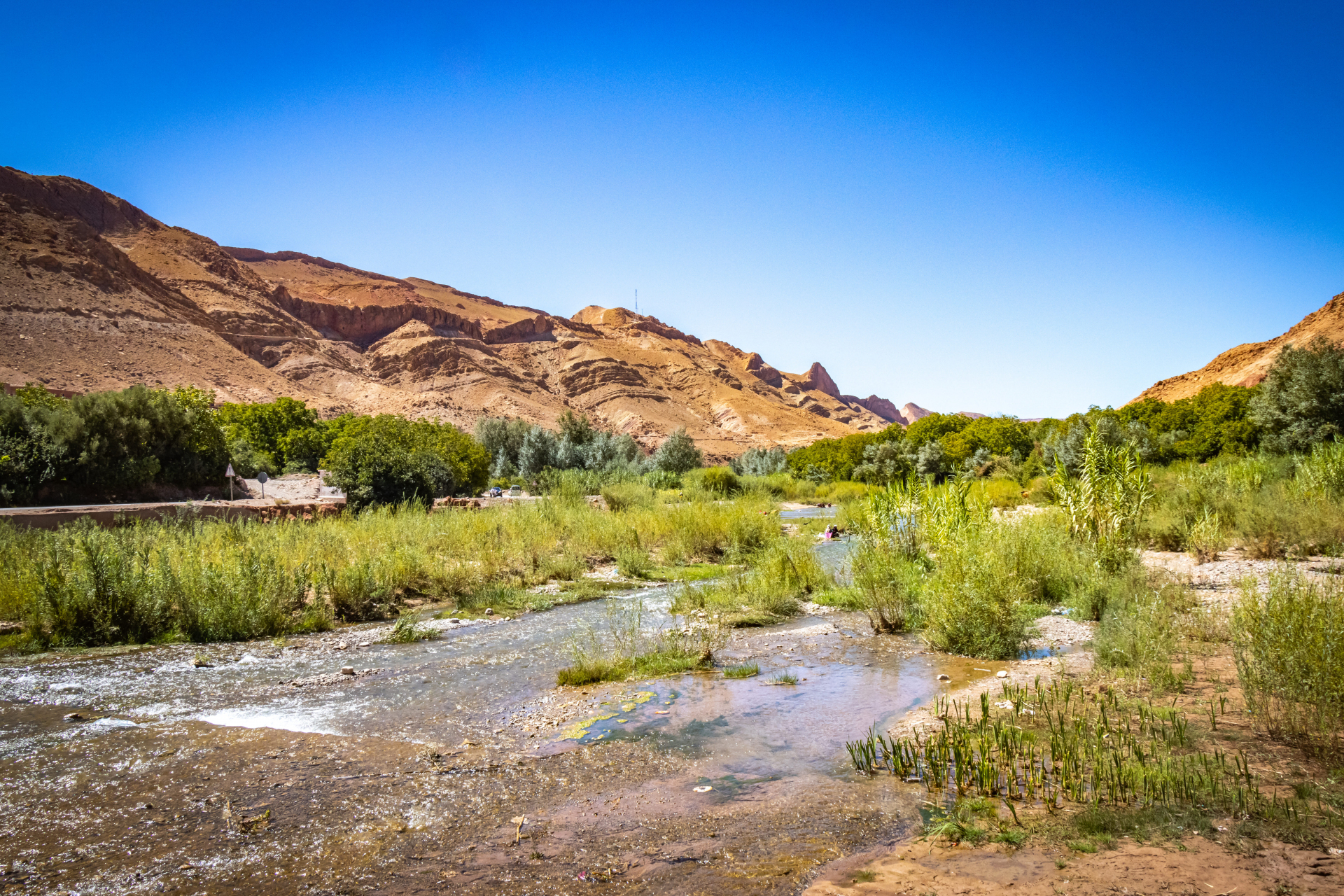 swimming-and-trekking